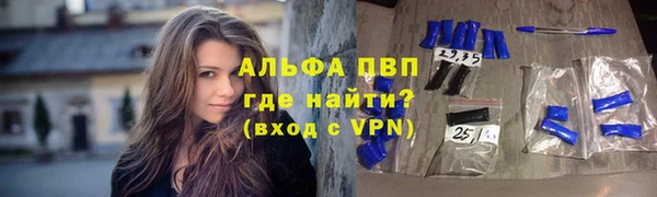 скорость Ладушкин