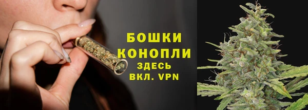 скорость Ладушкин