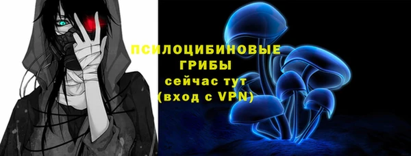 скорость Ладушкин