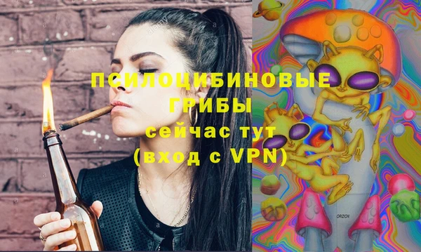 скорость Ладушкин